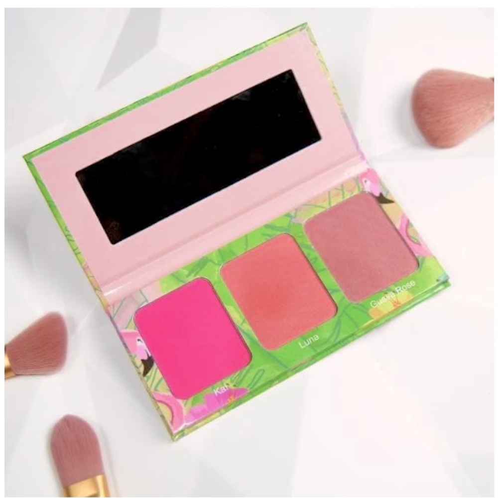 Sassy Jones Malibu Blush Palette - Brand New! - Picture 5 of 9